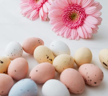 Donor eggs 360x320